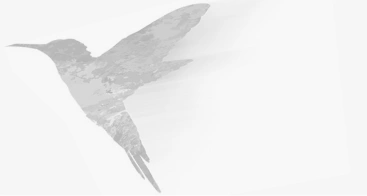 Abstract dark hallway image with a large bird